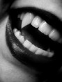 /album/fotogalerie/a70347a6f57-70454327-o2-jpg1/